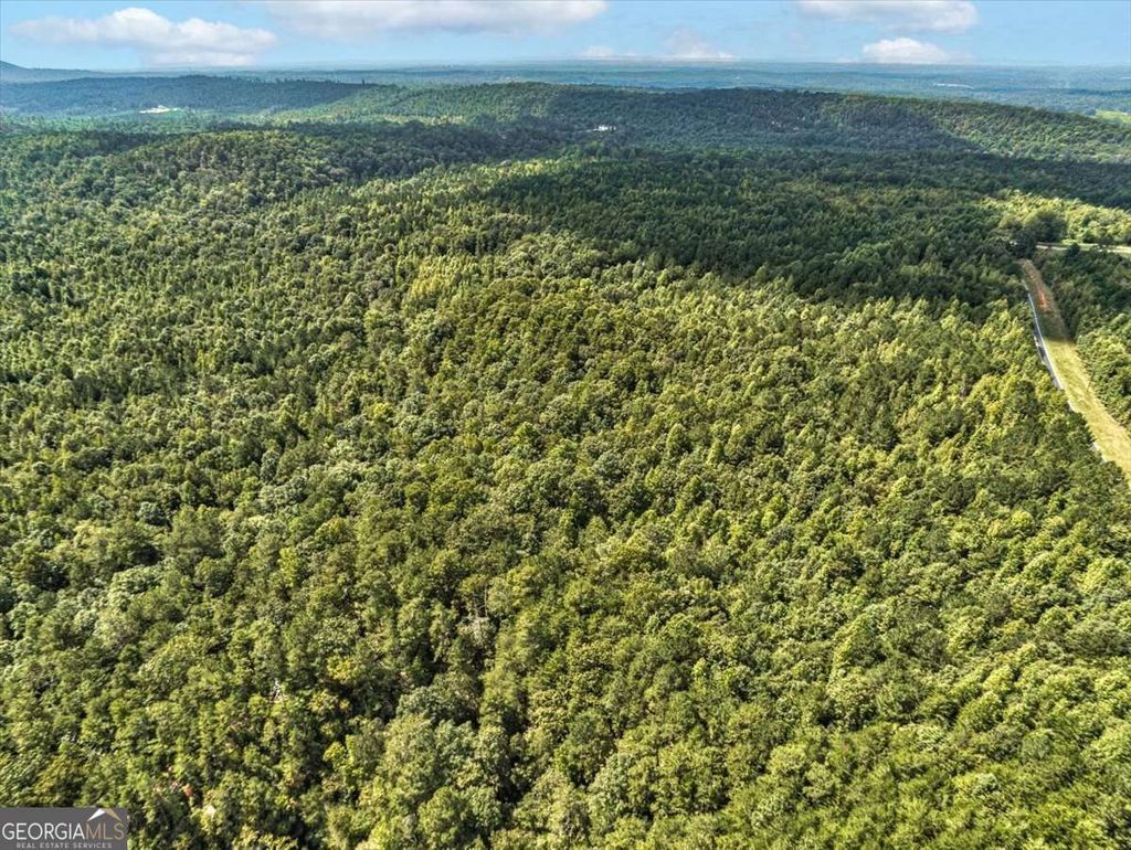 Photo of 5 Old Ridgeway Road, Bremen, GA 30110 (MLS # 10664921)