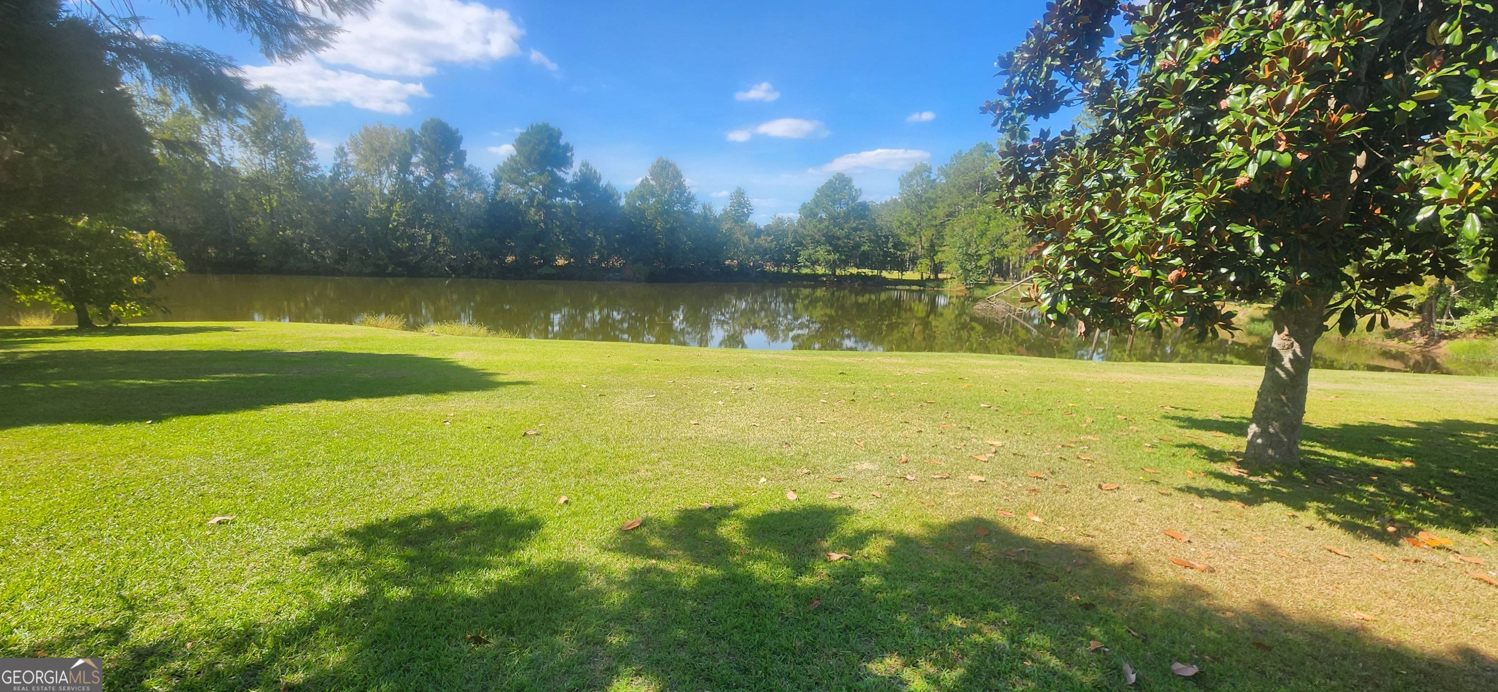 Metter, Georgia 30439, United States, 4 Bedrooms Bedrooms, ,2 BathroomsBathrooms,Residential,Active,250184