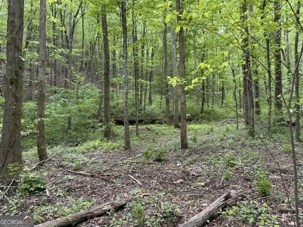 TR 1 Pleasant Hill Trail