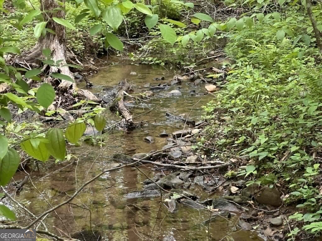 TR 1 Pleasant Hill Trail
