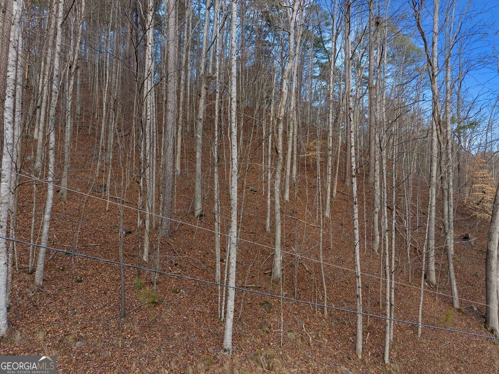 LOT 2965 Monticello DR