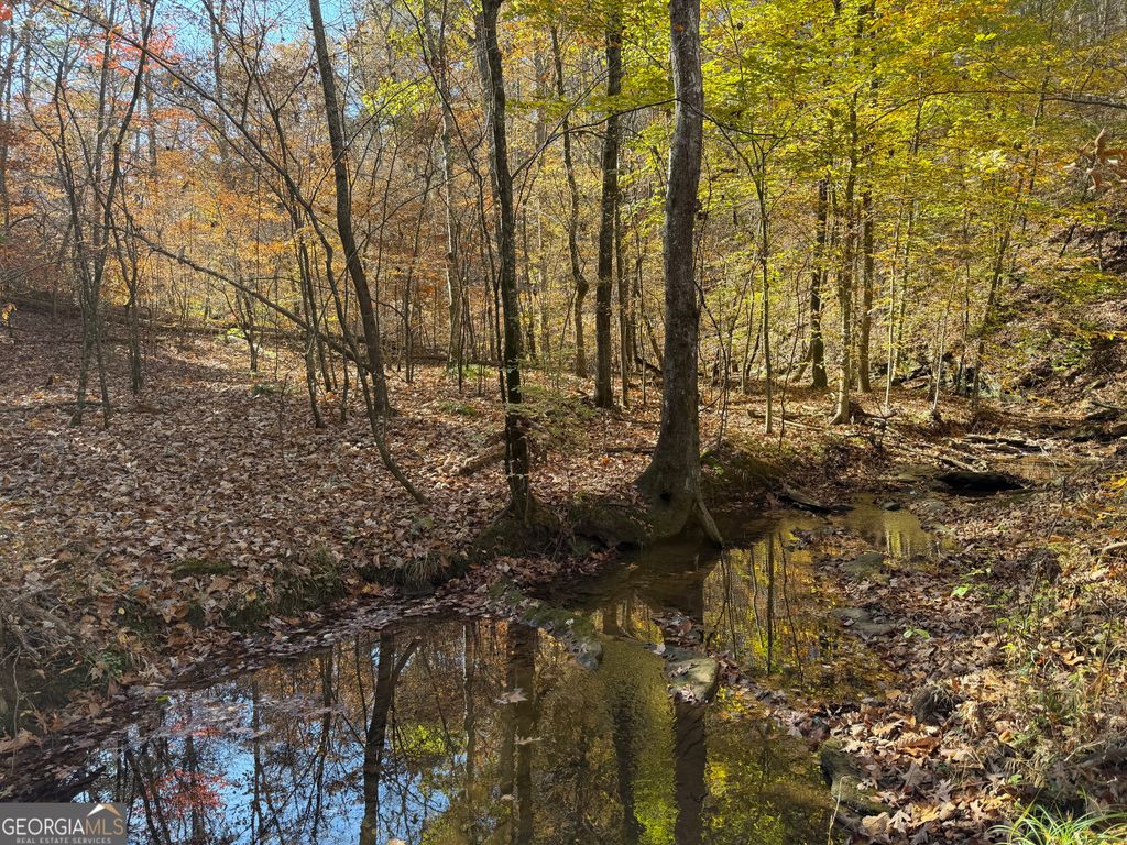 Photo of 286 Carnes Road SW, Cartersville, GA 30120 (MLS # 10676197)