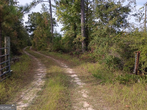 Photo of 2651 Old Balls Ferry Road, Toomsboro, GA 31090 (MLS # 10870201)