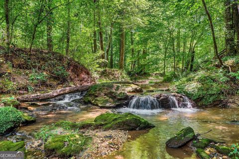 452 Blacks Mill RD Dawsonville GA 30534