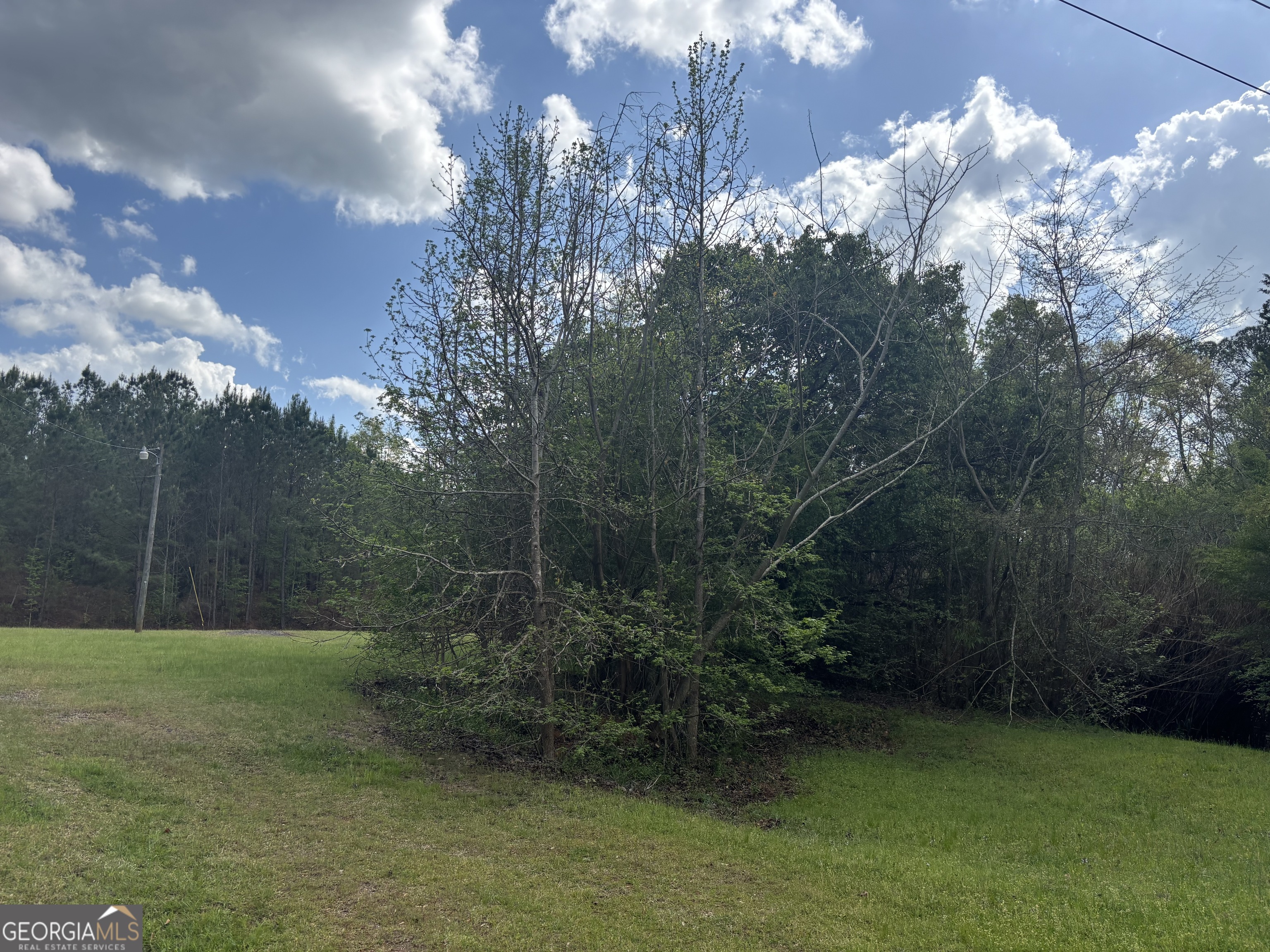 45 Scott Murphy LN 201