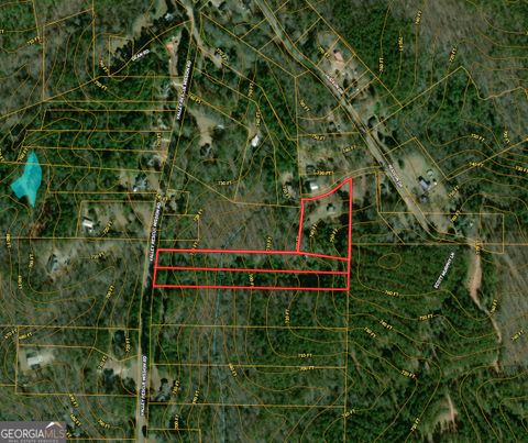 45 Scott Murphy LN 201 Hamilton GA 31811