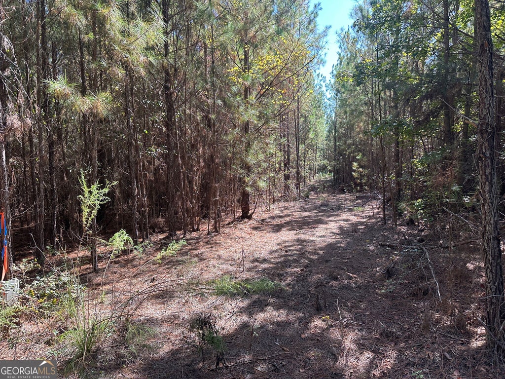 Photo of 1001 Millen-Hiltonia Road, Sylvania, GA 30467 (MLS # 10872038)