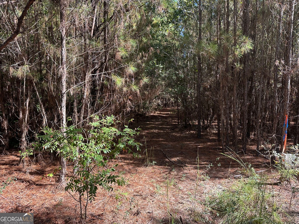 Photo of 1001 Millen-Hiltonia Road, Sylvania, GA 30467 (MLS # 10872038)