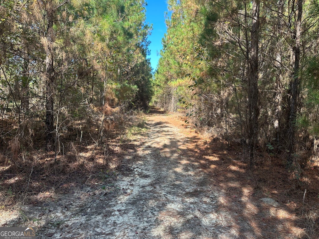 Photo of 1001 Millen-Hiltonia Road, Sylvania, GA 30467 (MLS # 10872038)