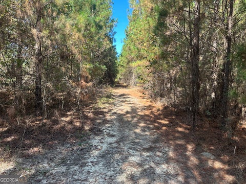 Photo of 1001 Millen-Hiltonia Road, Sylvania, GA 30467 (MLS # 10872038)
