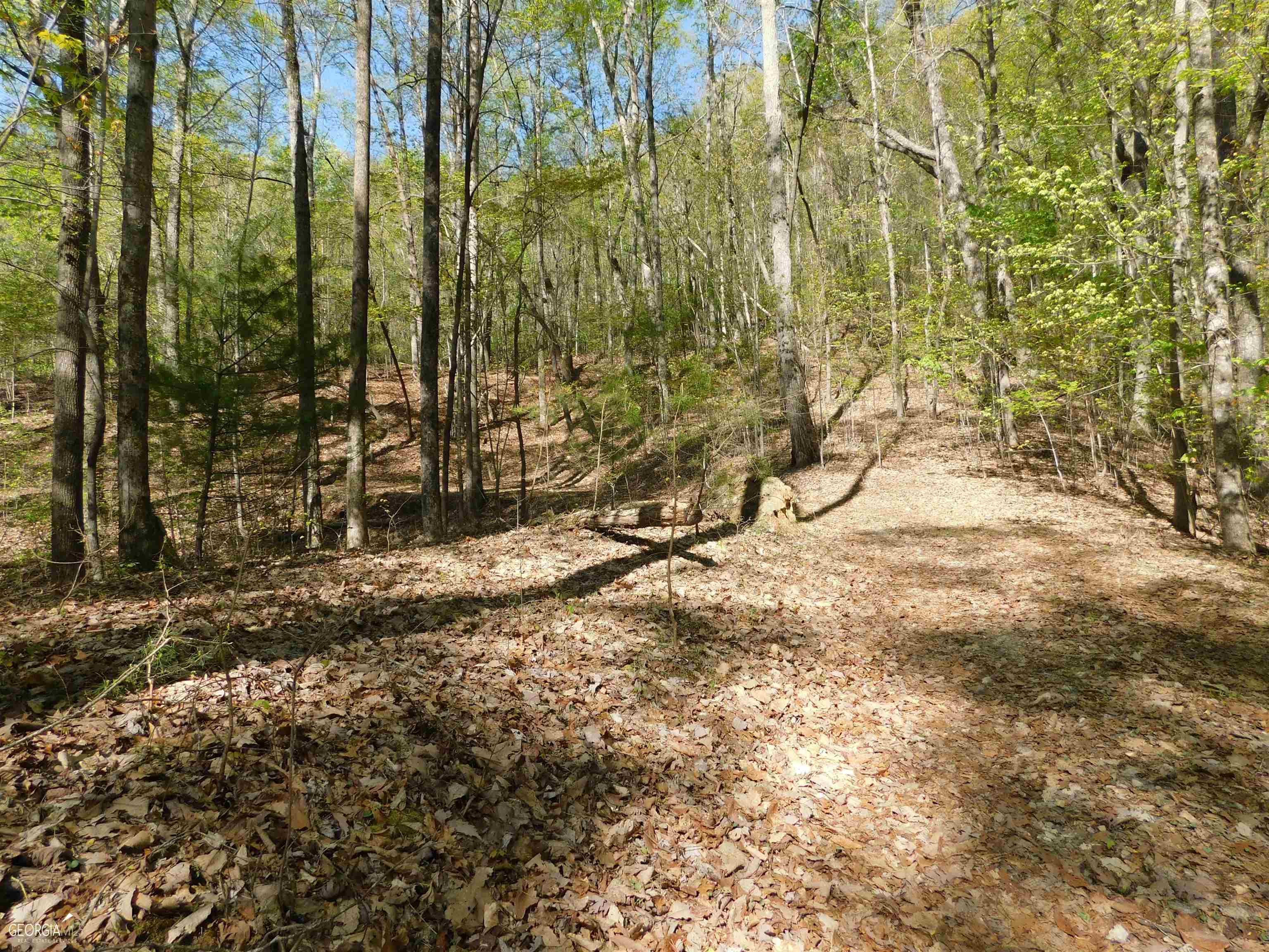 Beautiful Building Lot in Panorama Estates. 1.65 Acres. End of the road privacy with a Seasonal VIEW. Paved Road Access, Community Water, Underground Utilities, Trailwaves Fiber Internet and a Roughed In Driveway to a Nice Building Site.