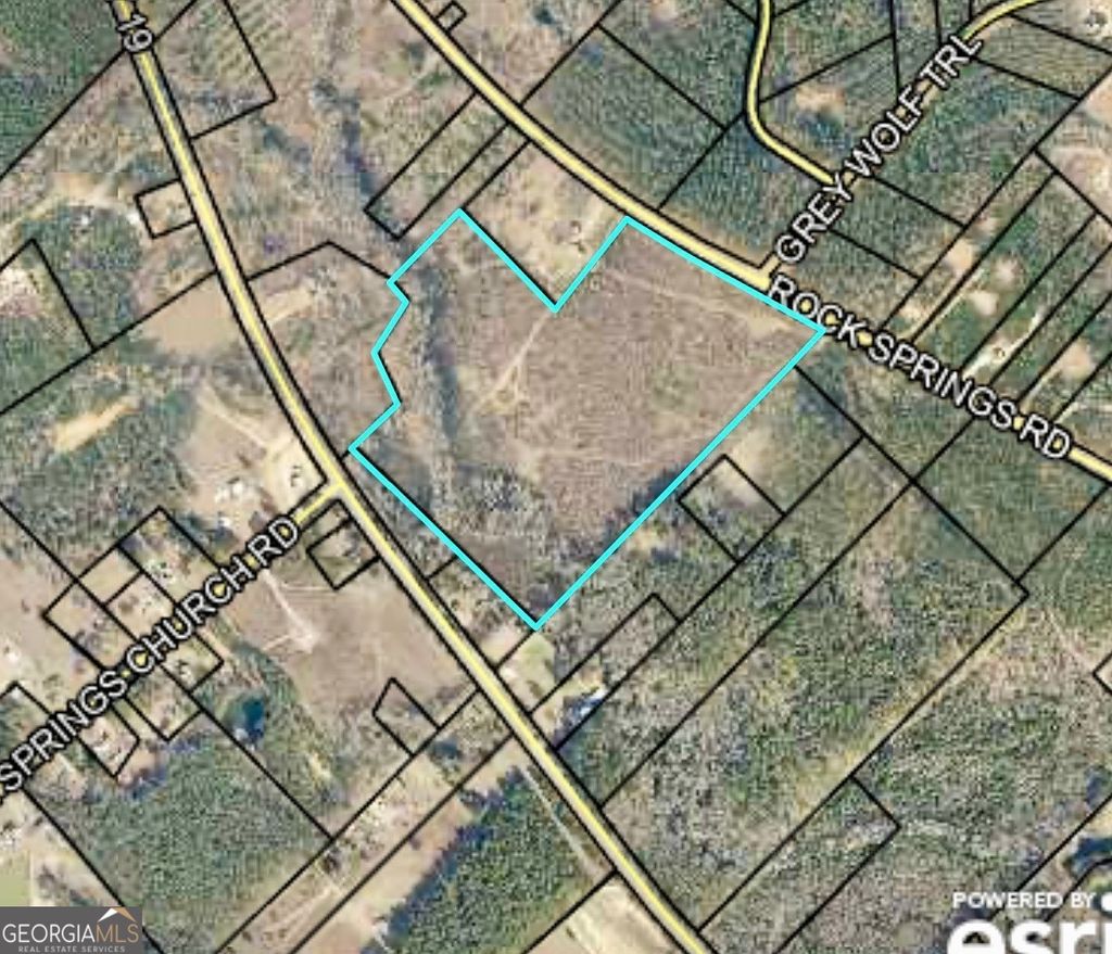 Photo of 0 Rock Springs Road, Dublin, GA 31021 (MLS # 10669675)