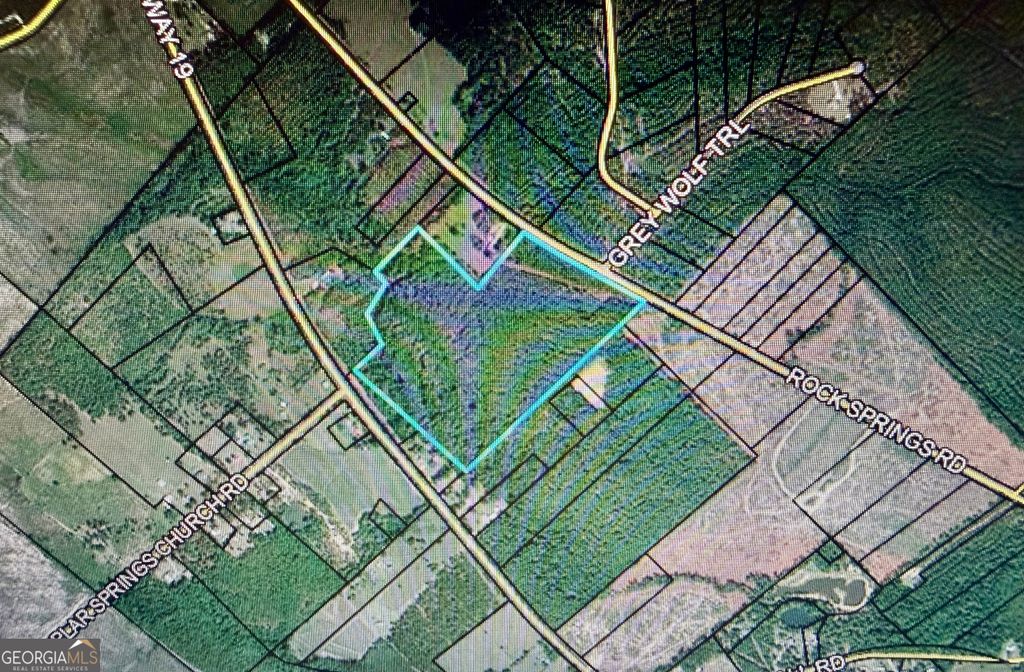 Photo of 0 Rock Springs Road, Dublin, GA 31021 (MLS # 10669675)