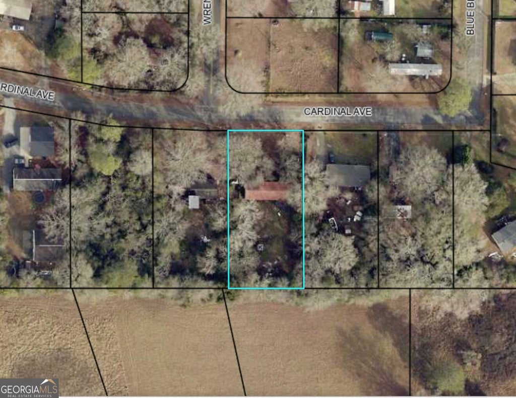Photo of 112 Cardinal Avenue, Perry, GA 31069 (MLS # 10851227)