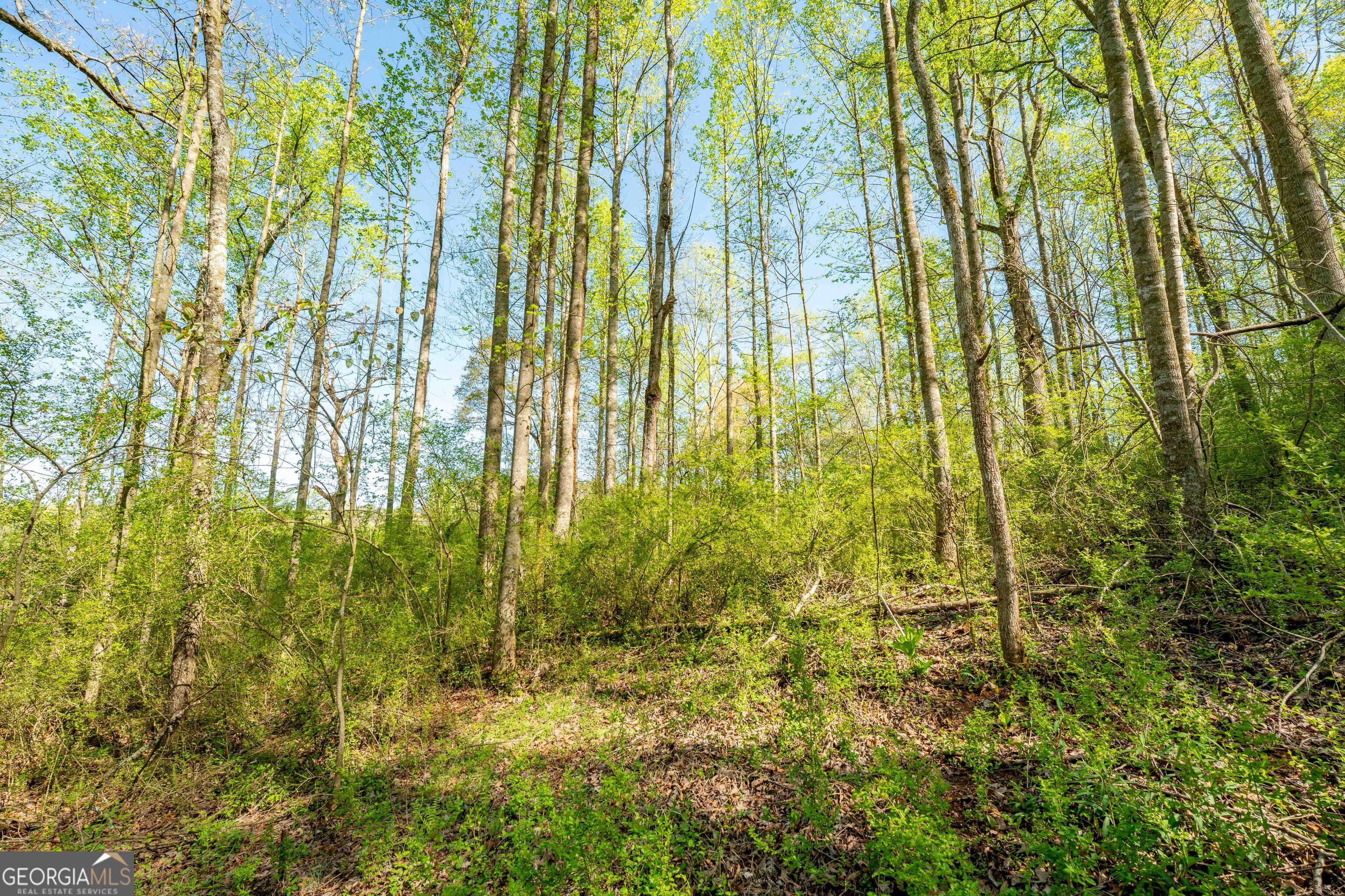 0 Glade Rocks Springs RD