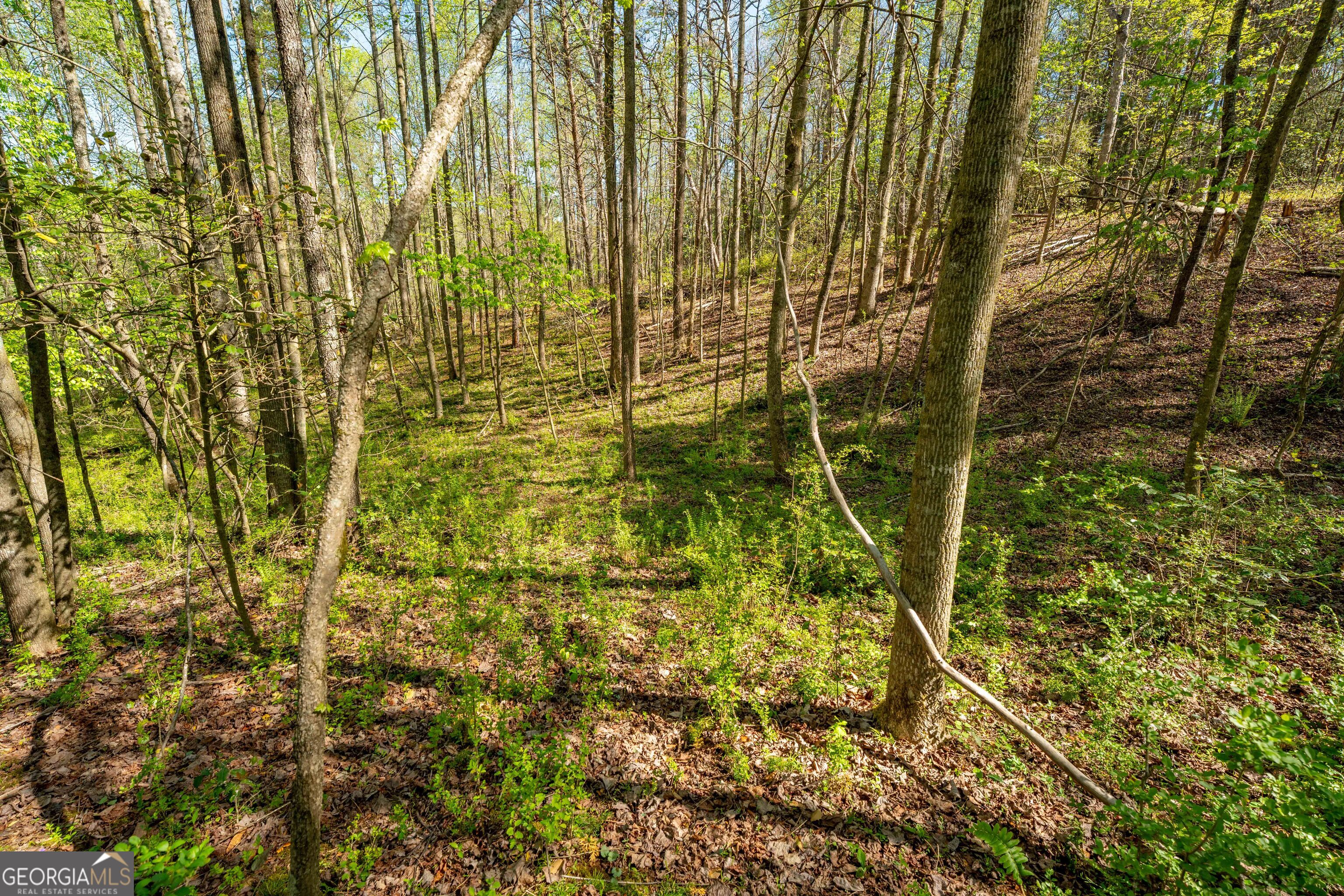 0 Glade Rocks Springs RD