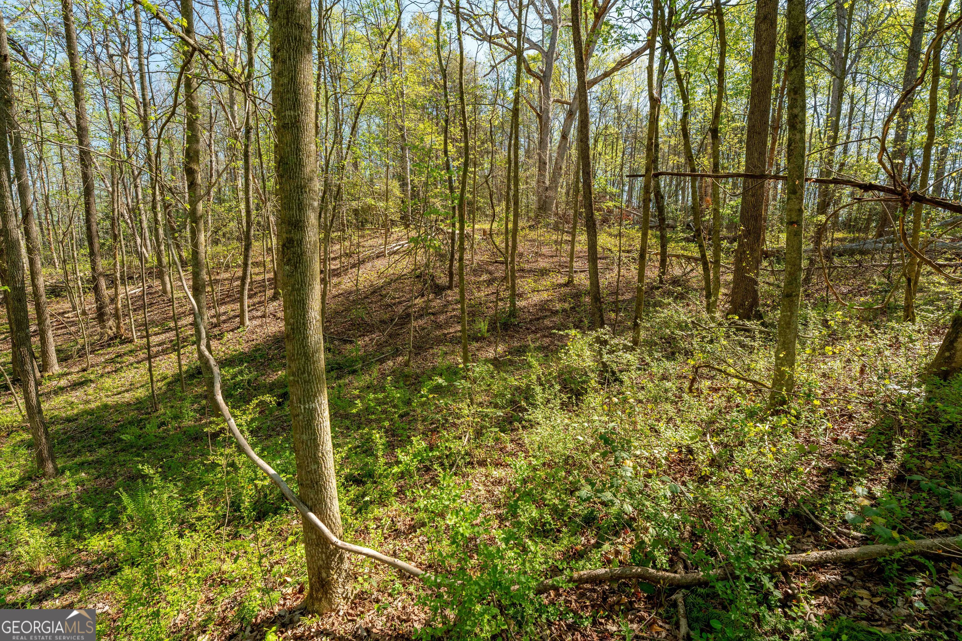 0 Glade Rocks Springs RD