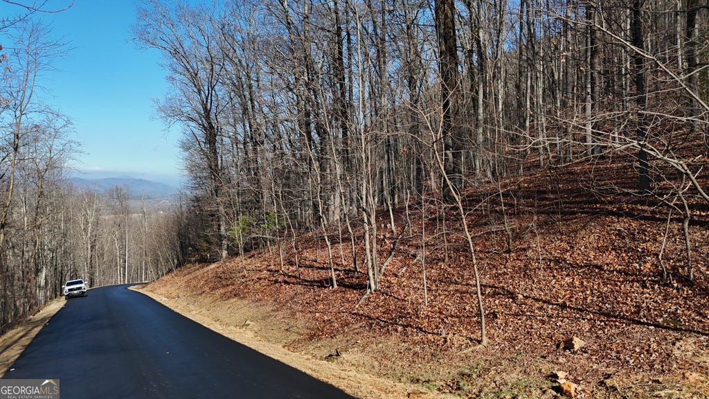 Photo of 45 Mountainside Drive, Cleveland, GA 30528 (MLS # 10824718)