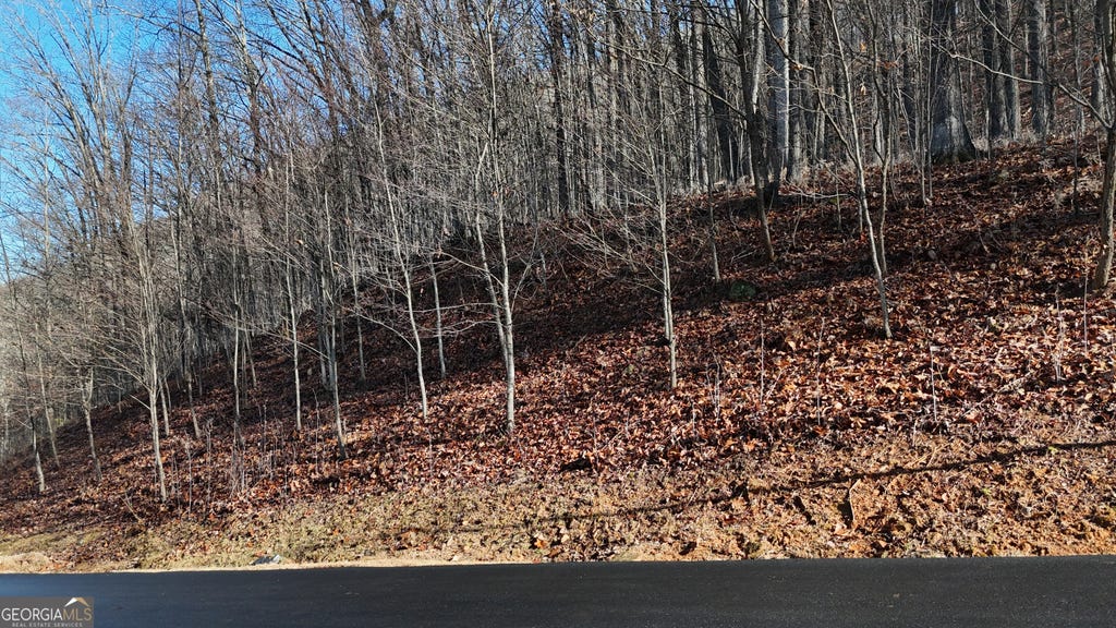 Photo of 45 Mountainside Drive, Cleveland, GA 30528 (MLS # 10824718)