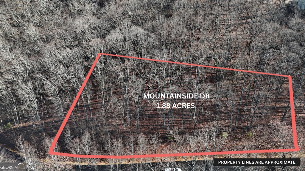 Photo of 45 Mountainside Drive, Cleveland, GA 30528 (MLS # 10824718)
