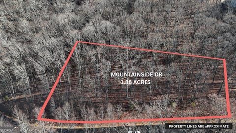 Photo of 45 Mountainside Drive, Cleveland, GA 30528 (MLS # 10824718)