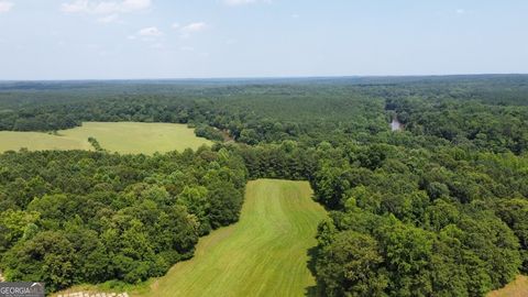 0 N. OLA RD McDonough GA 30252