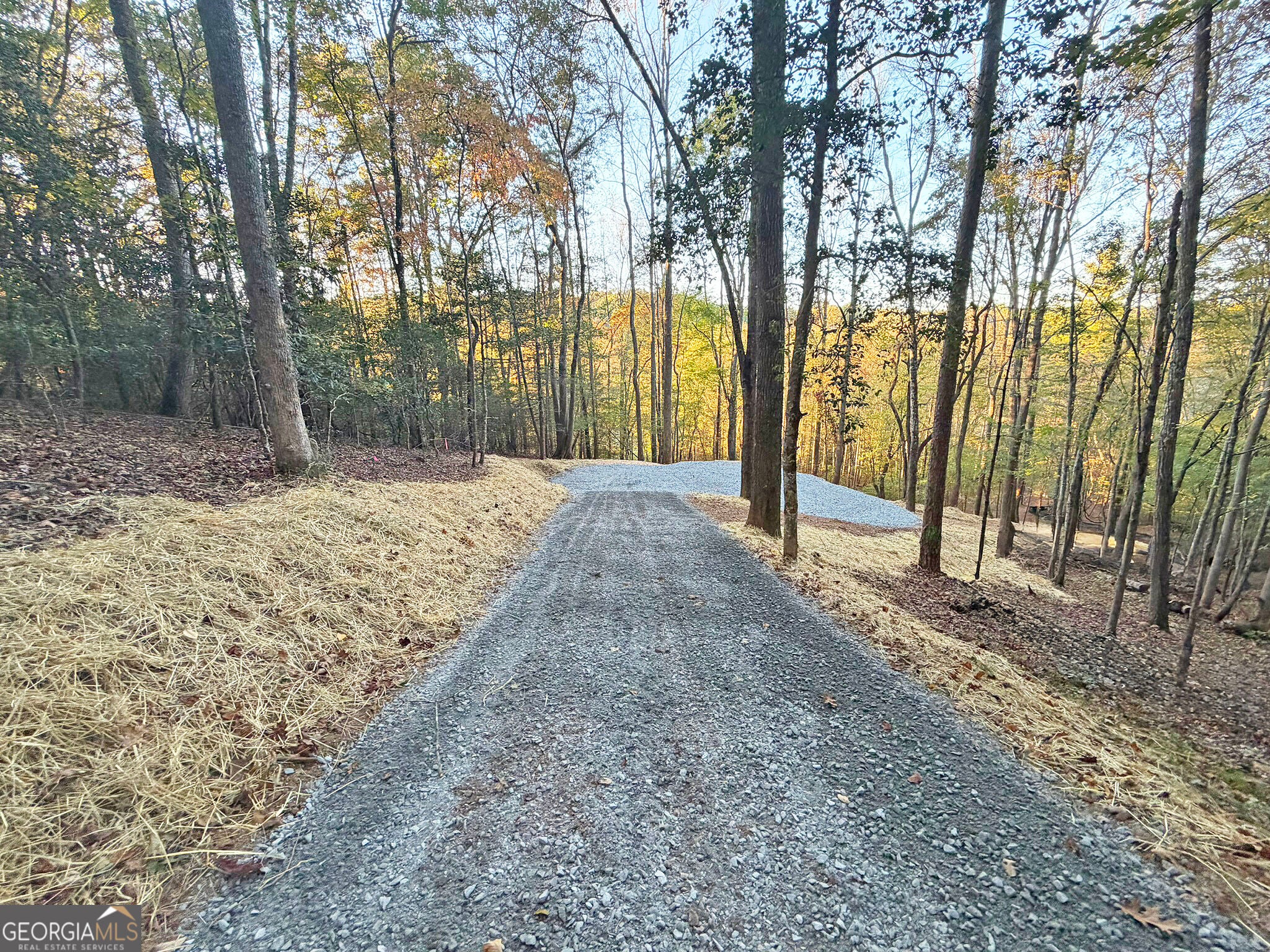 13D Rainey Valley Ln