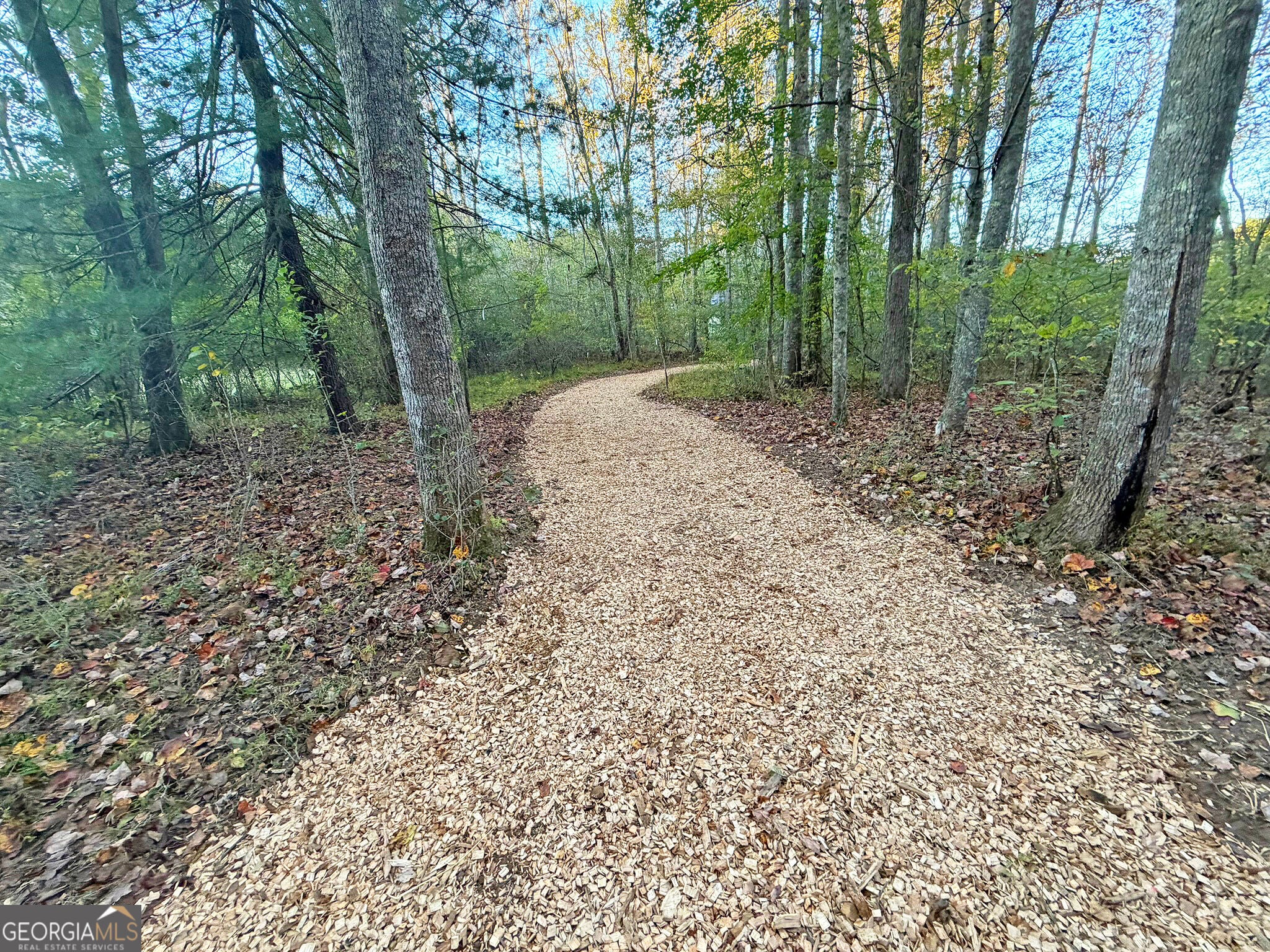 13D Rainey Valley Ln