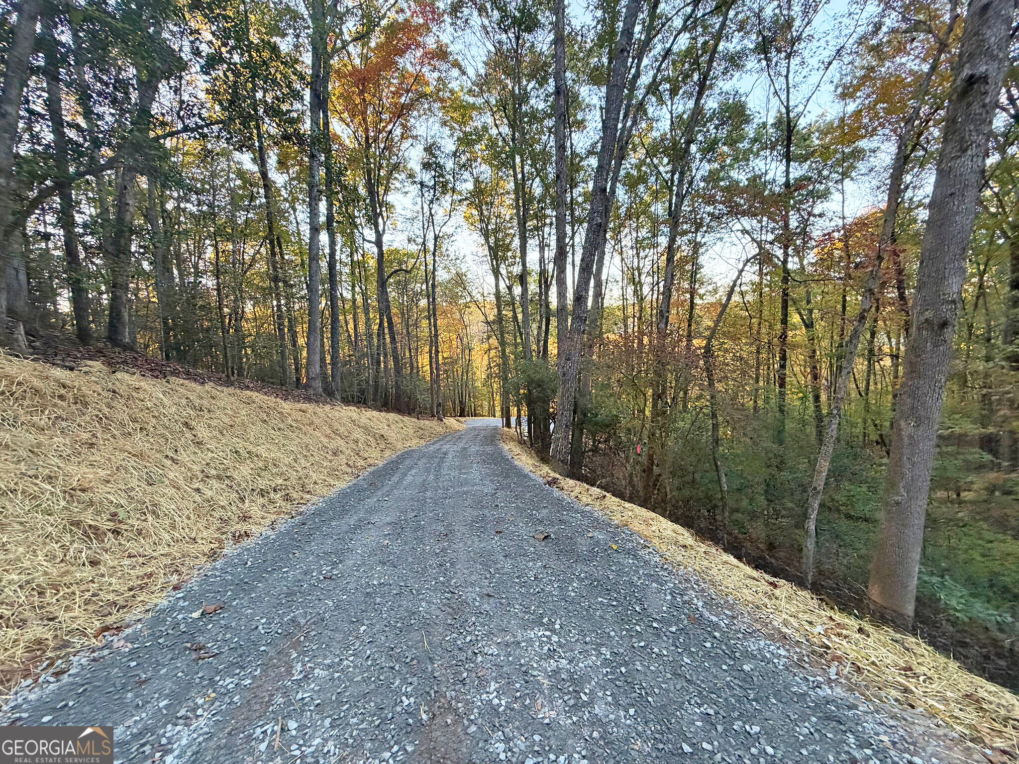 13D Rainey Valley Ln