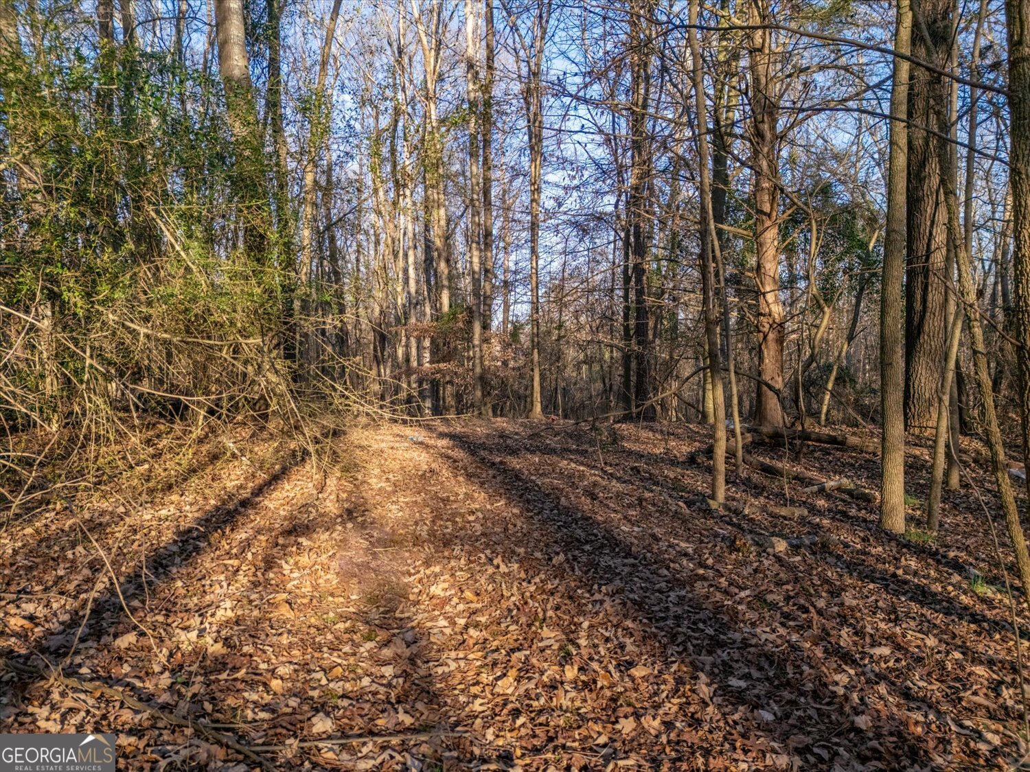 0 Jefferson River Road LOT A