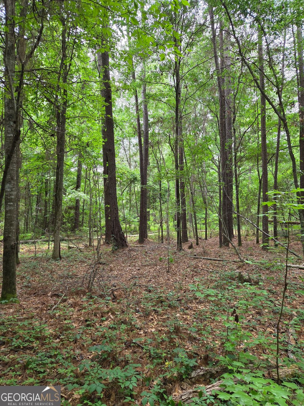 Photo of 6045 Cara Dr, Macon, GA 31216 (MLS # 10770788)