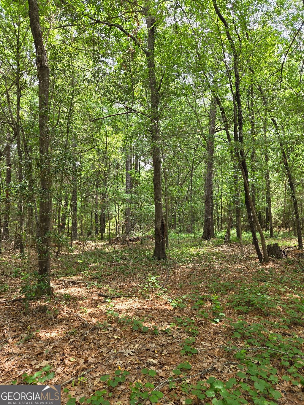Photo of 6045 Cara Dr, Macon, GA 31216 (MLS # 10770788)