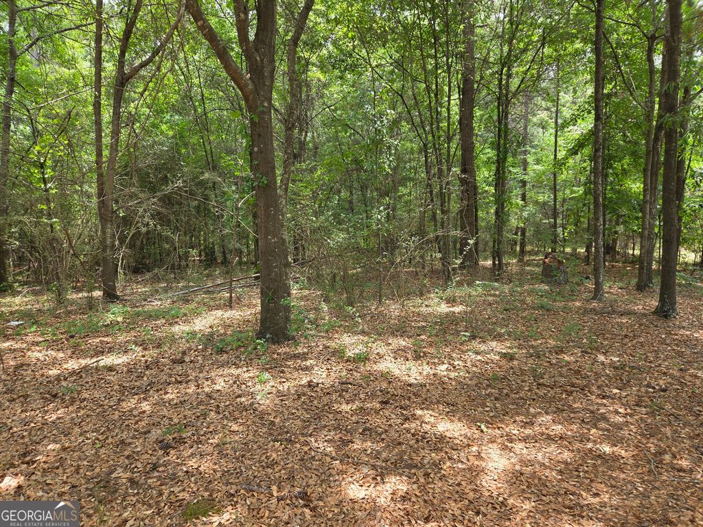 Photo of 6045 Cara Dr, Macon, GA 31216 (MLS # 10770788)