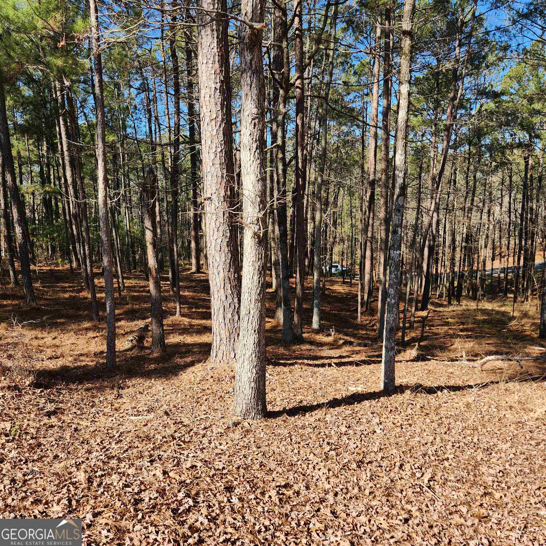 Reynolds Lake Oconee - Land