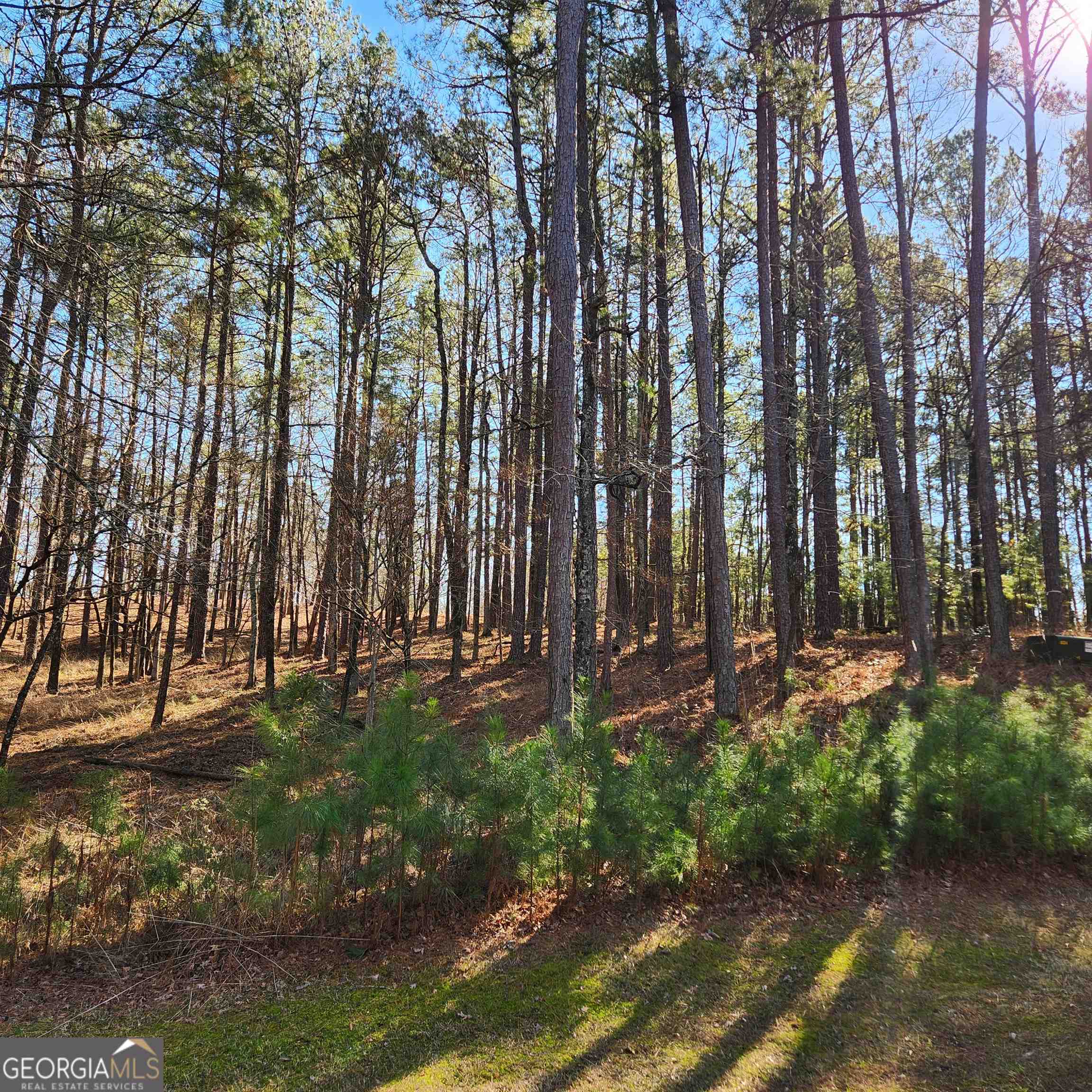 Reynolds Lake Oconee - Land