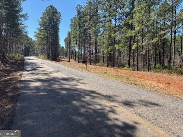 Tranquil 11.7 acres on a quiet paved road ready to welcome you home! Very private and room to explore nature. Just minutes from Carrollton, Whitesburg, and Roopville!