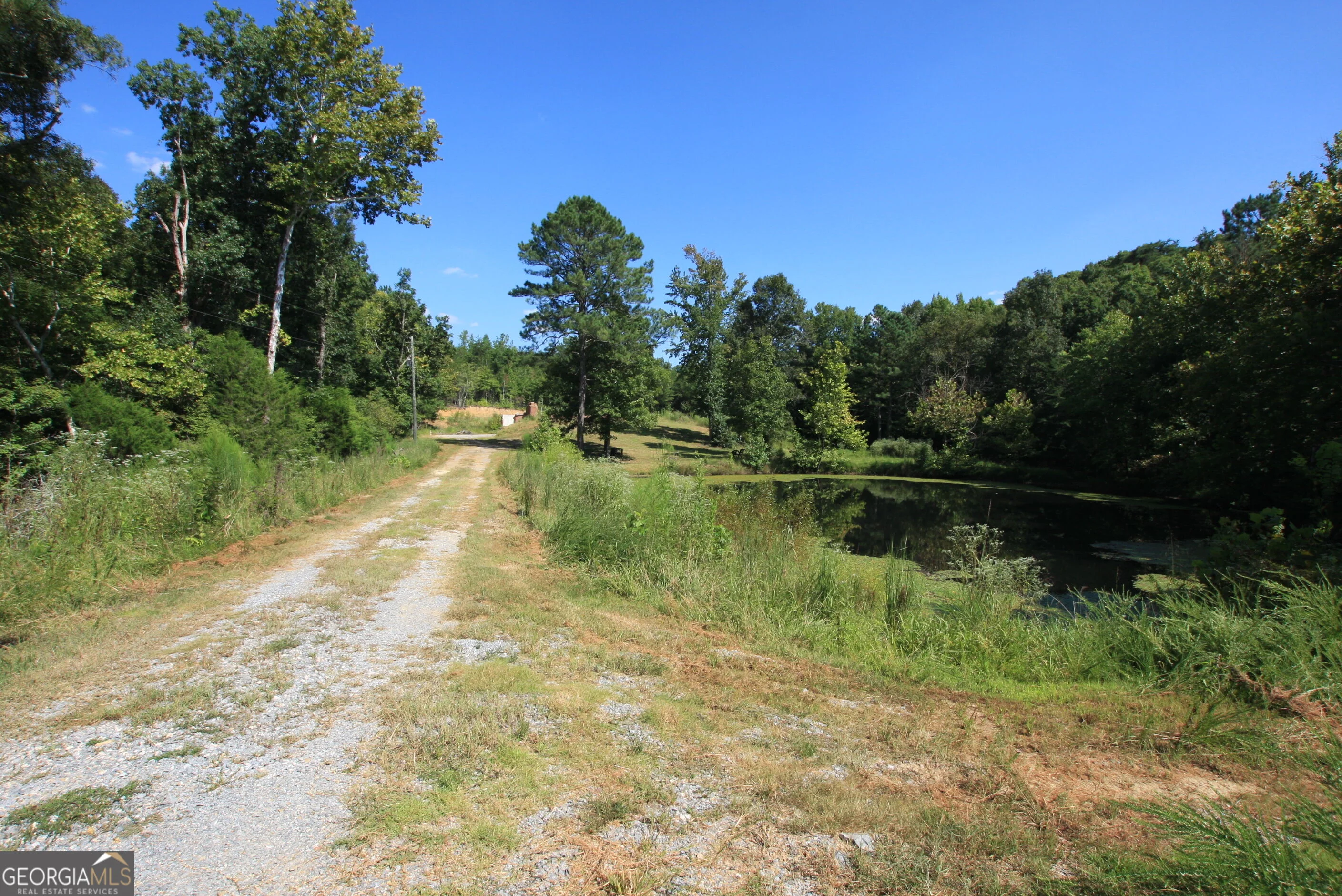 4345 Fosters Mill Road SW, Cave Spring, GA, 30124