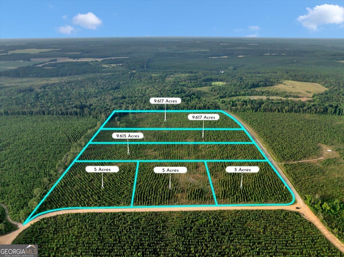 Beautiful unrestricted and affordable country homesites! Lots of deer and turkey. 5 acre lots for 39k up to 12+ acre lots for 89k. Buy one or more!