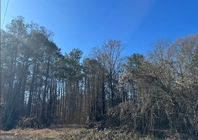 0 Jonesboro Road