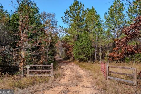 Photo of 46 Owens Dairy Road, Lyerly, GA 30730 (MLS # 10648369)