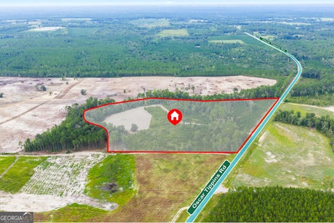 Photo of 0 Oscar Tippins Road, Baxley, GA 31513 (MLS # 10845678)