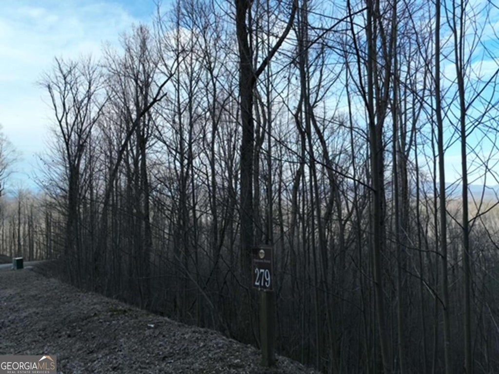 Photo of 279 Andes Ridge, Ellijay, GA 30536 (MLS # 10787223)