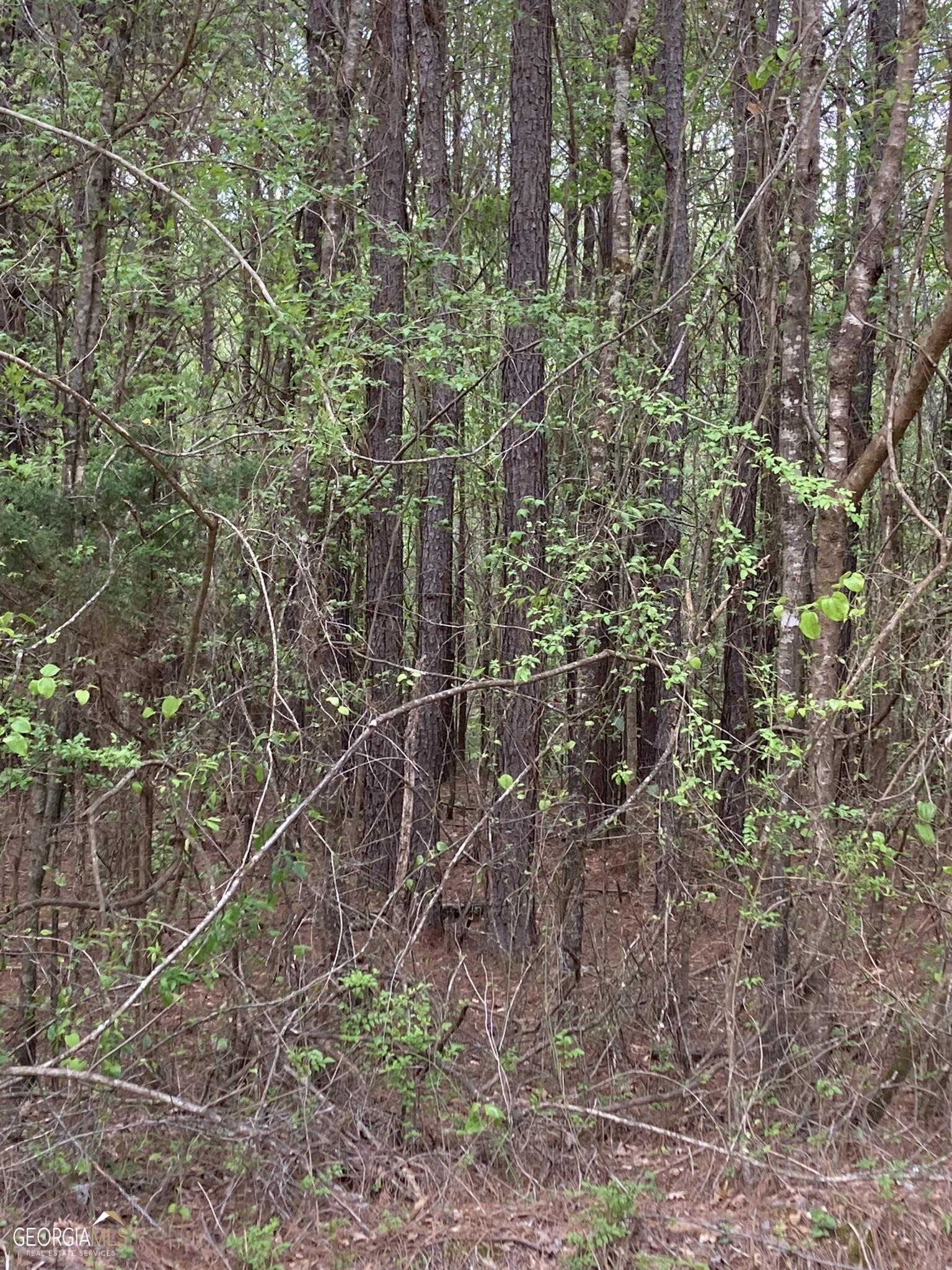 Photo 5 of 11 of 0 S County Rd 811 And Cr 814 land