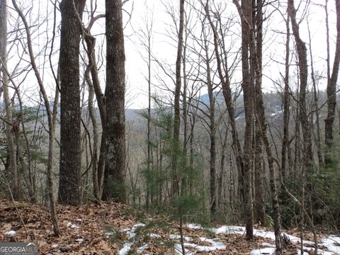 0 Evans Creek RD Scaly Mountain NC 28775
