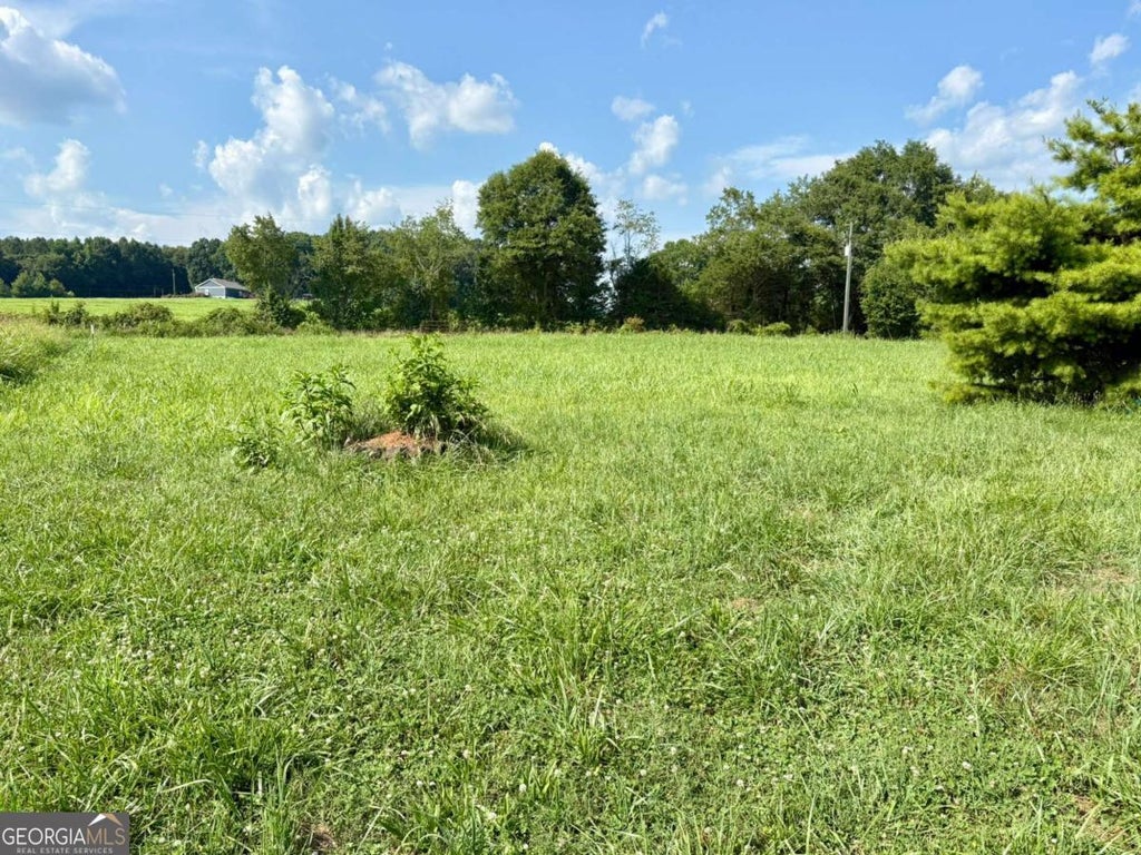 Photo of 1099 Swain Road, Commerce, GA 30530 (MLS # 10804681)