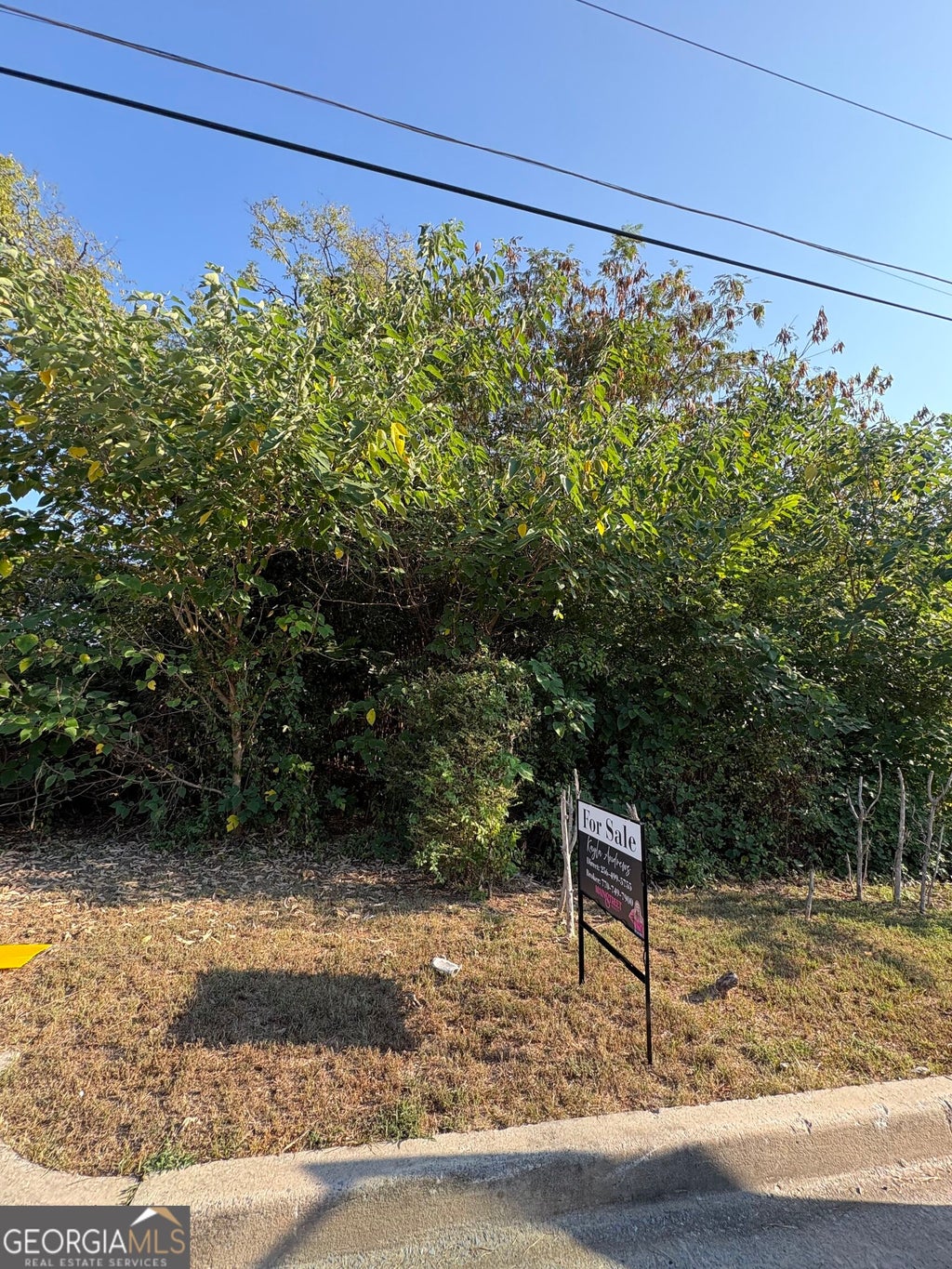 Photo of 403 Brown Street SW, Rome, GA 30161 (MLS # 10841041)