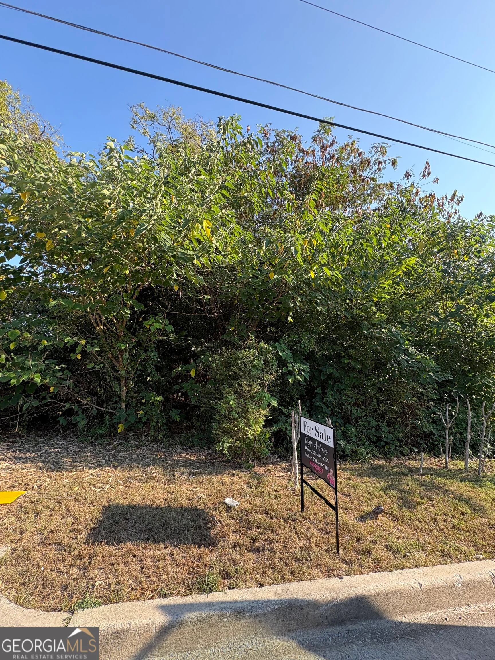 403 Brown Street SW, Rome, GA, 30161