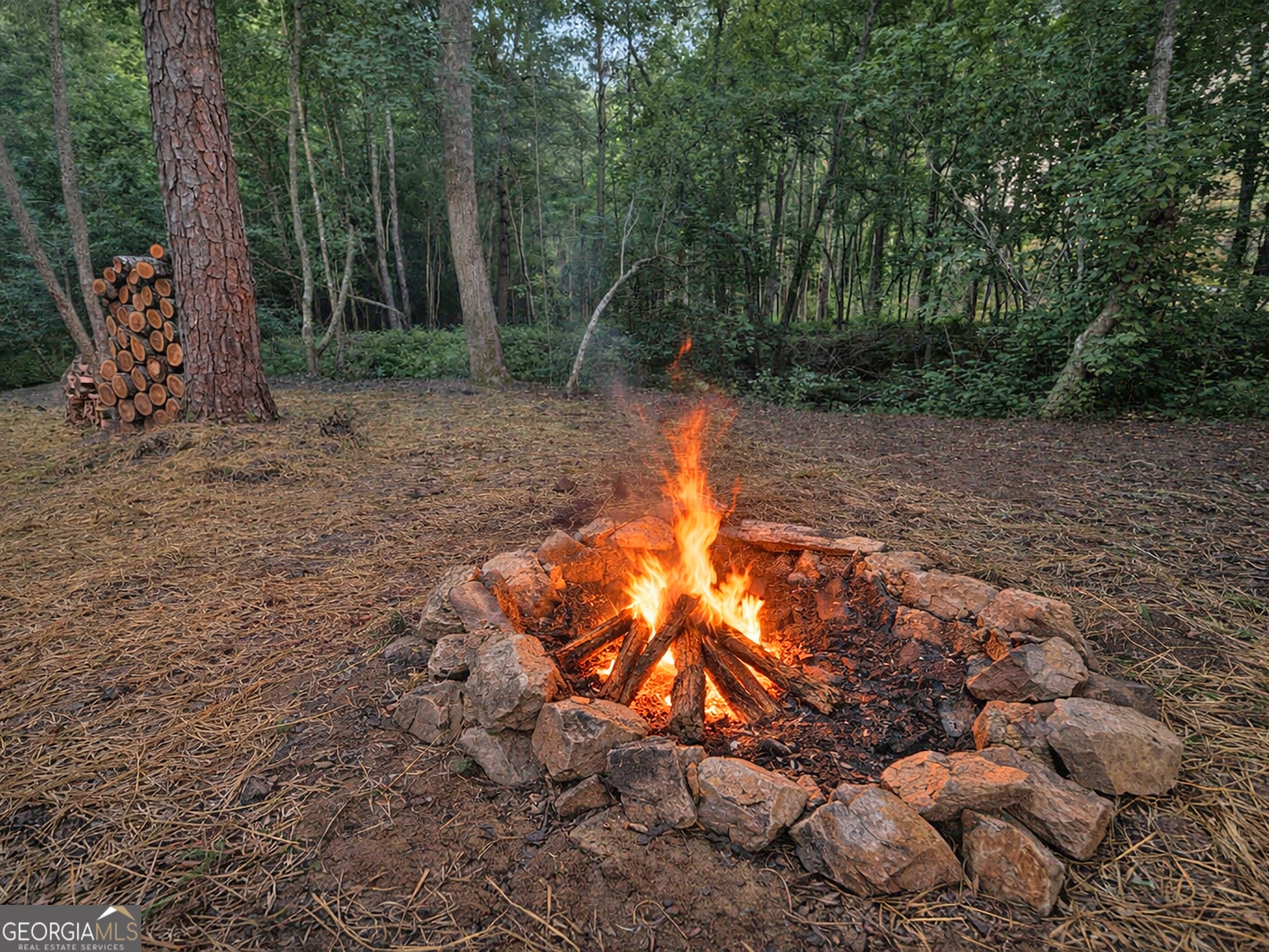 1720 Mt Springer RD
