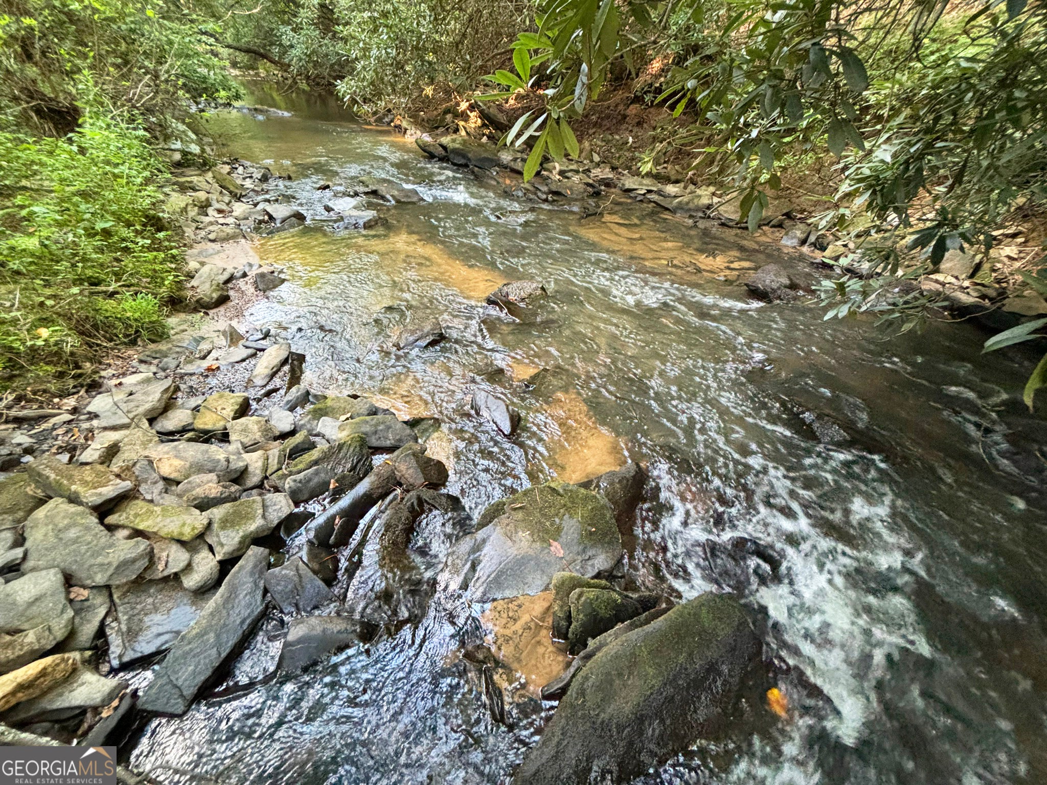 1720 Mt Springer RD