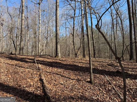 131 Nicholson LN Talking Rock GA 30175